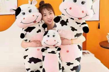 Gợi ý tên các loại gấu bông nổi tiếng làm quà tặng nàng