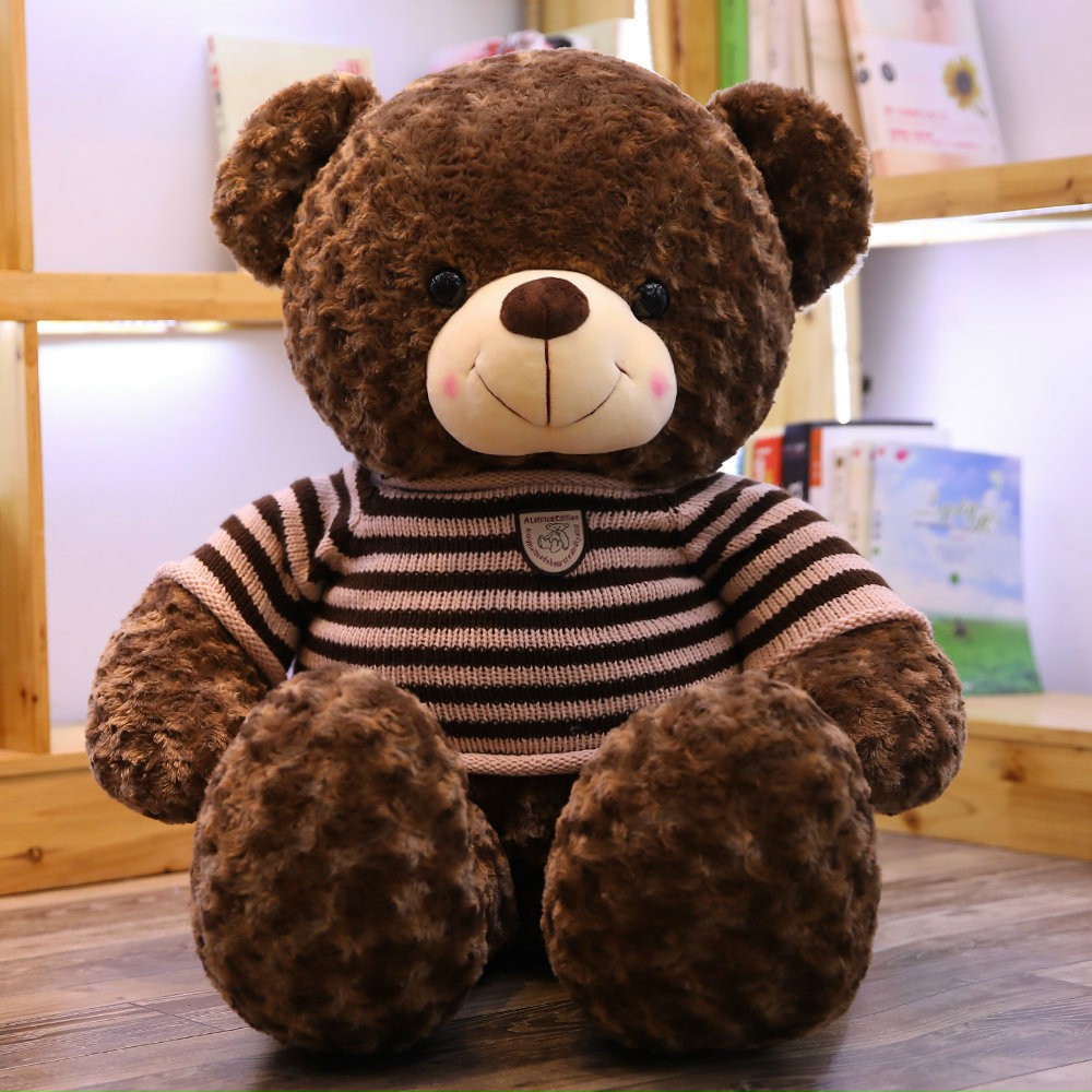 Teddy Hồng Hàng Việt