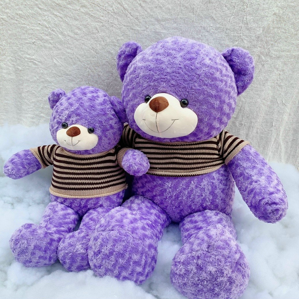 Teddy Hồng Hàng Việt