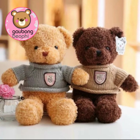 Teddy lông chỉ hàng nhập 