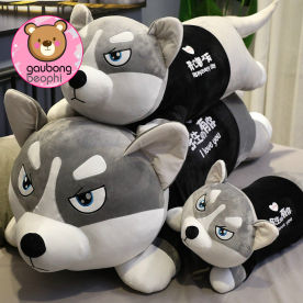 Chó Husky Mặc Áo