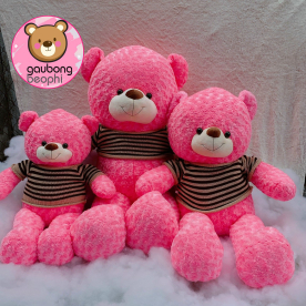 Teddy Hồng Hàng Việt