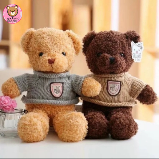 Teddy lông chỉ hàng nhập 