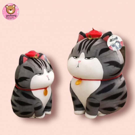 Mèo hoàng thượng ngồi