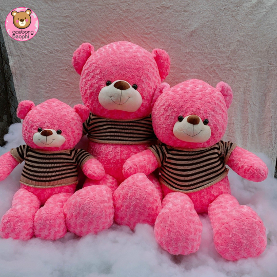 Teddy Hồng Hàng Việt